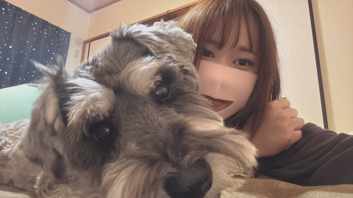 ビーナス(おかまる) tweet media