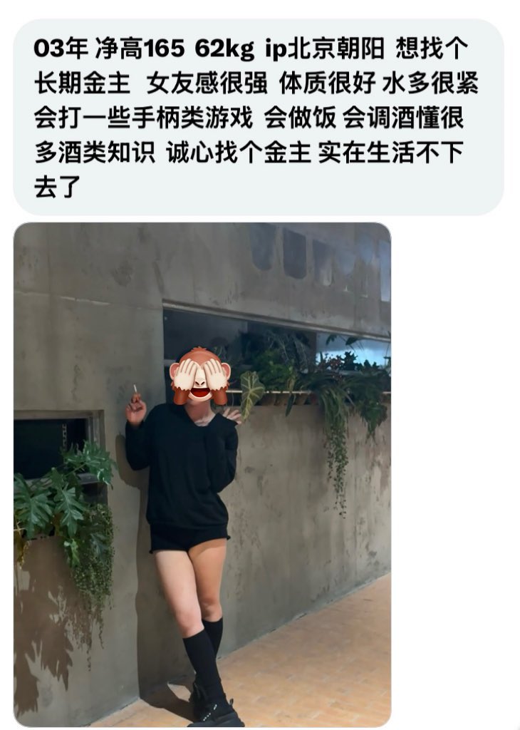 北京搭子 tweet media
