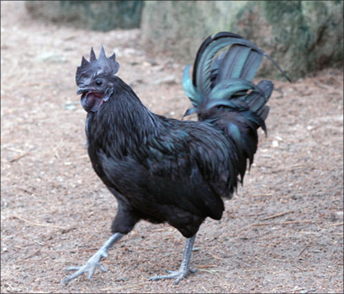 이선우 tweet media