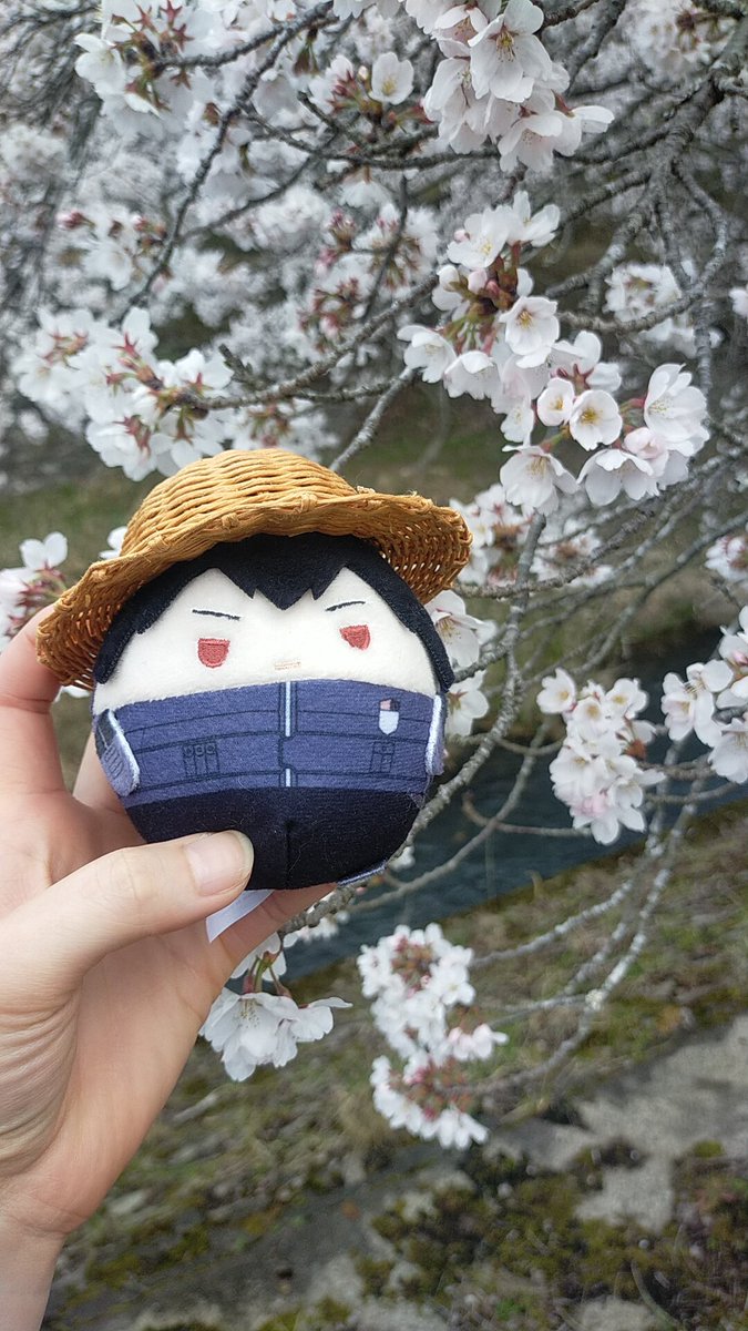 卜口口イモ芋子 tweet media