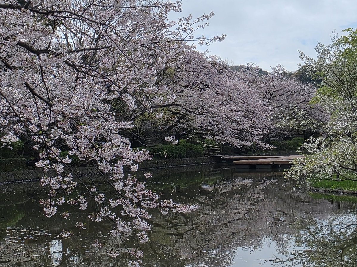 ちぇば tweet media