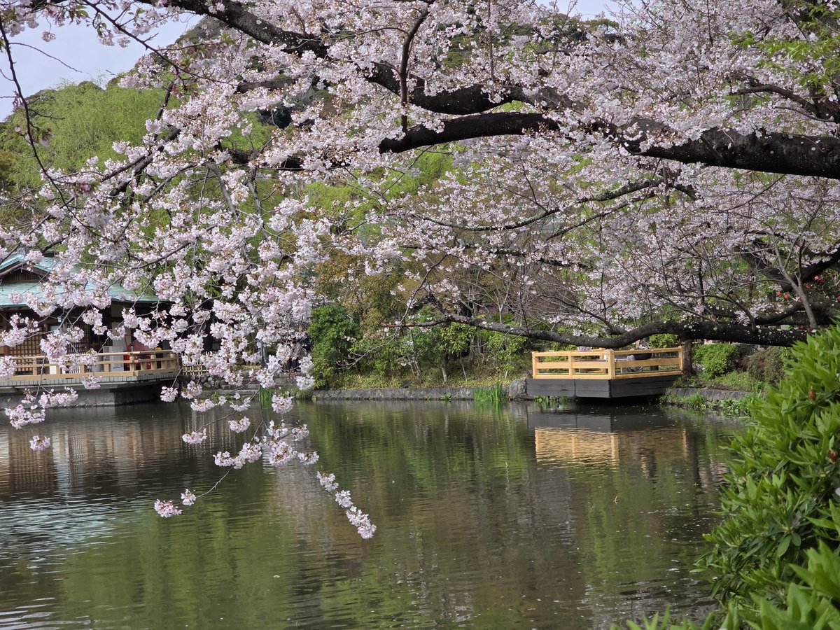 ちぇば tweet media