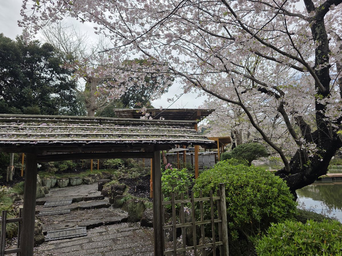 ちぇば tweet media