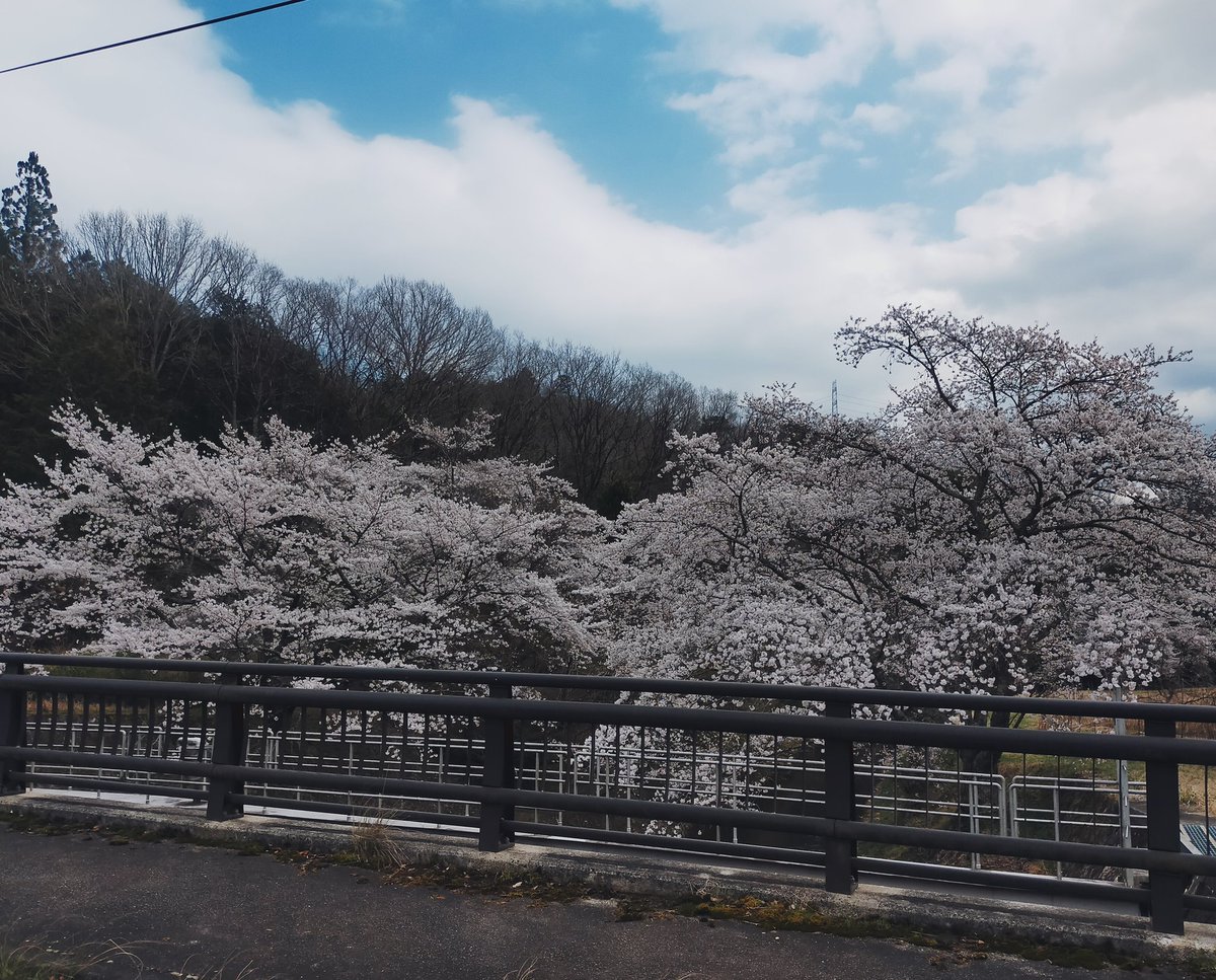 卜口口イモ芋子 tweet media