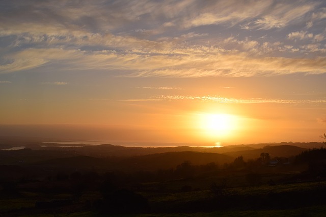 Mike Richardson tweet media