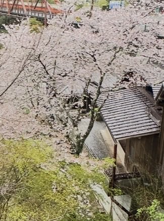 植竹深雪|♨️ おとな「ひとり温泉旅」のススメ㊗️6刷 tweet media