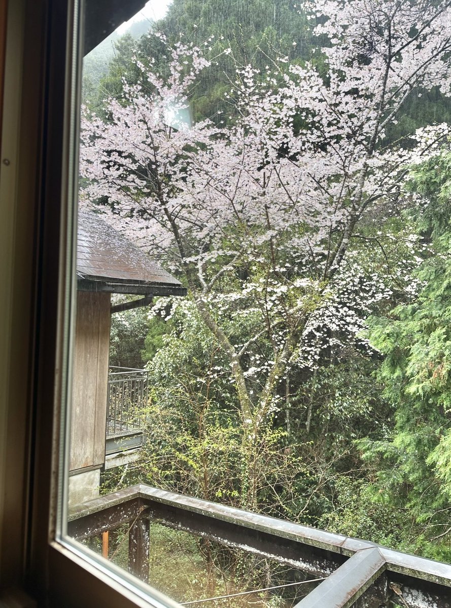 植竹深雪|♨️ おとな「ひとり温泉旅」のススメ㊗️6刷 tweet media