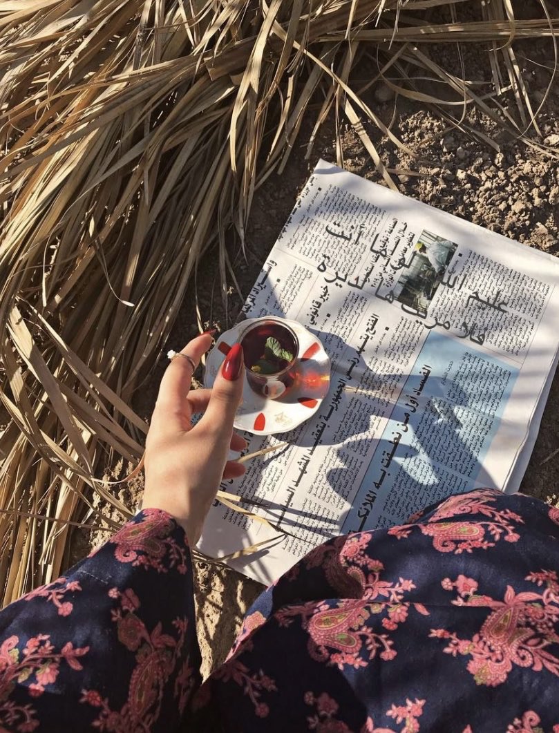 الغَيْهب tweet media