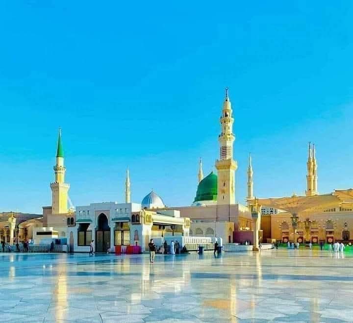 💞Shazia💞 tweet media