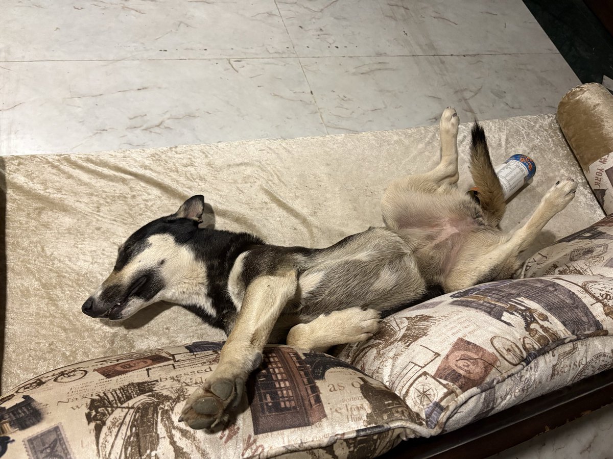 Swarit Søhaard tweet media