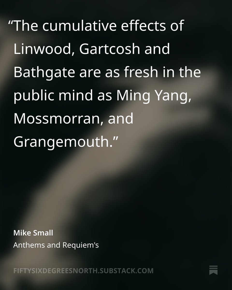 BELLA CALEDONIA tweet media