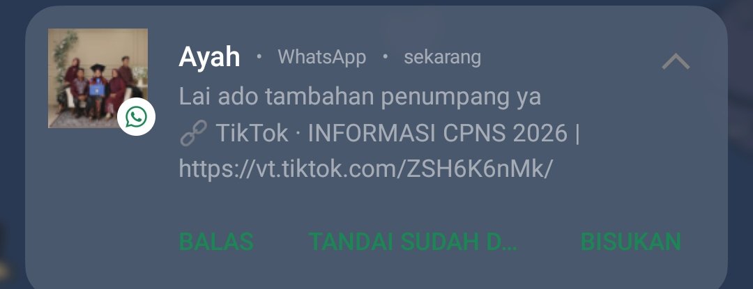 Kuronek0_0 🍀 tweet media