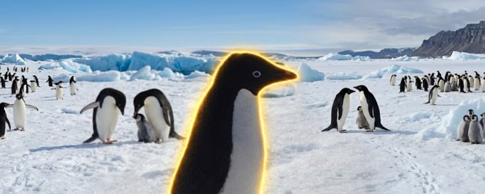 duckynfa's tweet photo. I just found the newest animal runner.

A NEW PENGUIN MEME JUST SPAWNED IS GOING GIGA VIRAL OVER 1M VIEWS!!!  

All of korea is memeing this penguin calling him the Adelie Penguin "아델리펭귄"  

lots of posts featuring the picture and everyone is amazed that its not even ai  

name proof: https://t.co/zgOJIW8Du0

tweet -