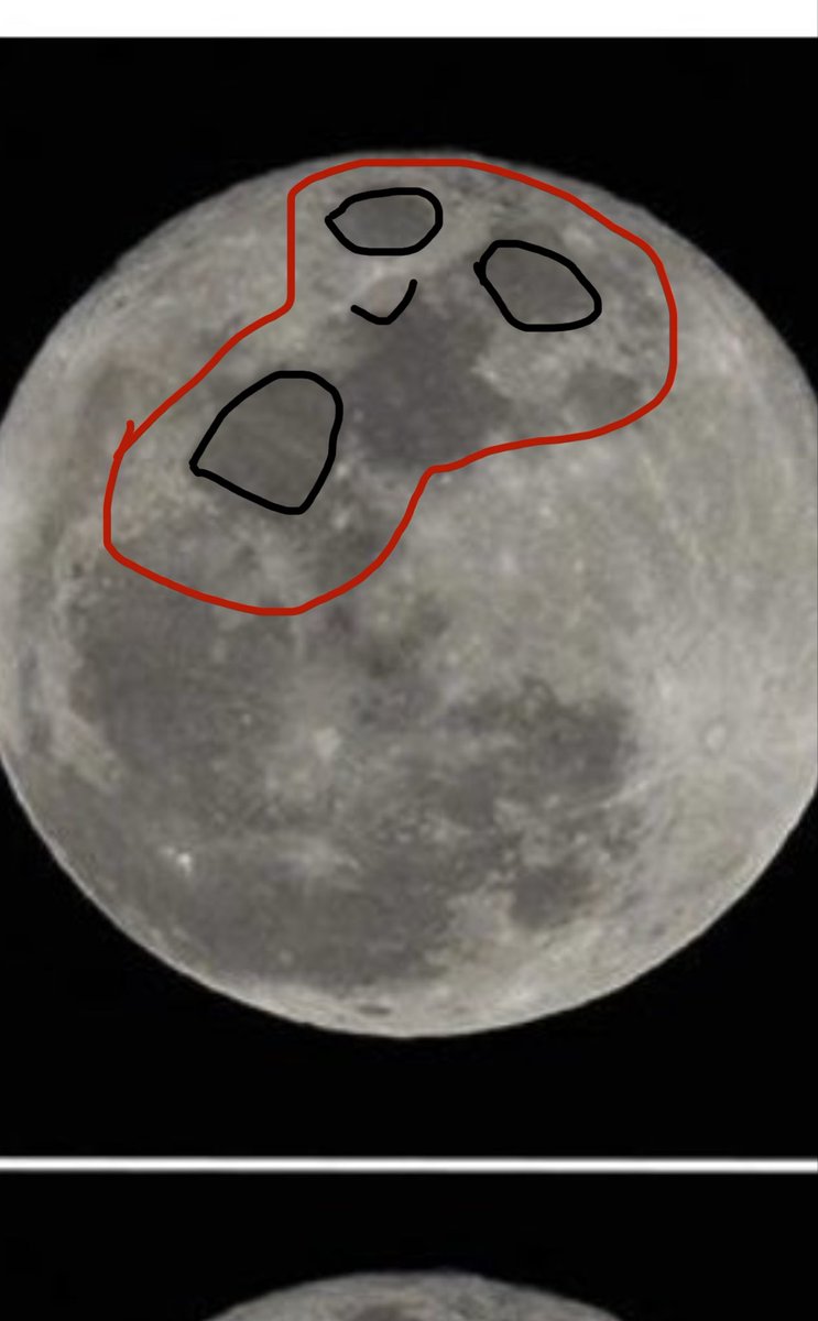 ⍼SKY🪶 tweet media