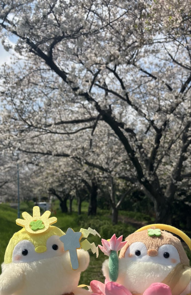 神さま仏さまのお通りなんだよ〜！