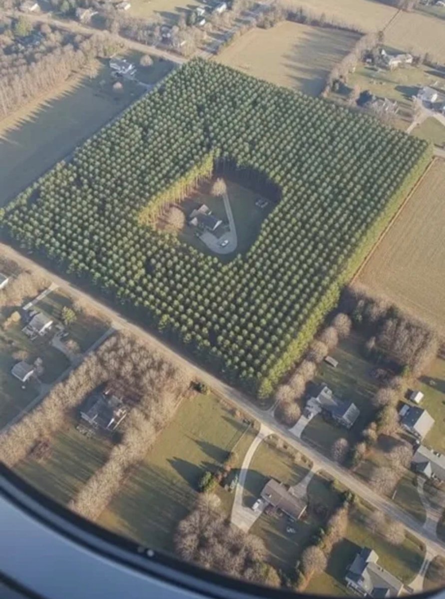 Out of Context Human Race tweet media