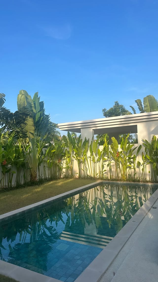 Your Princess (No face anymore) tweet media