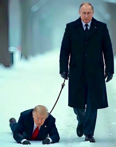 BamaStephen's tweet photo. @BohuslavskaKate Trump works for Putin.
Once we understand that, everything he does makes sense.
#TrumpWorksForPutin
CC: @RepGregLandsman https://t.co/w3ktS4O0t0