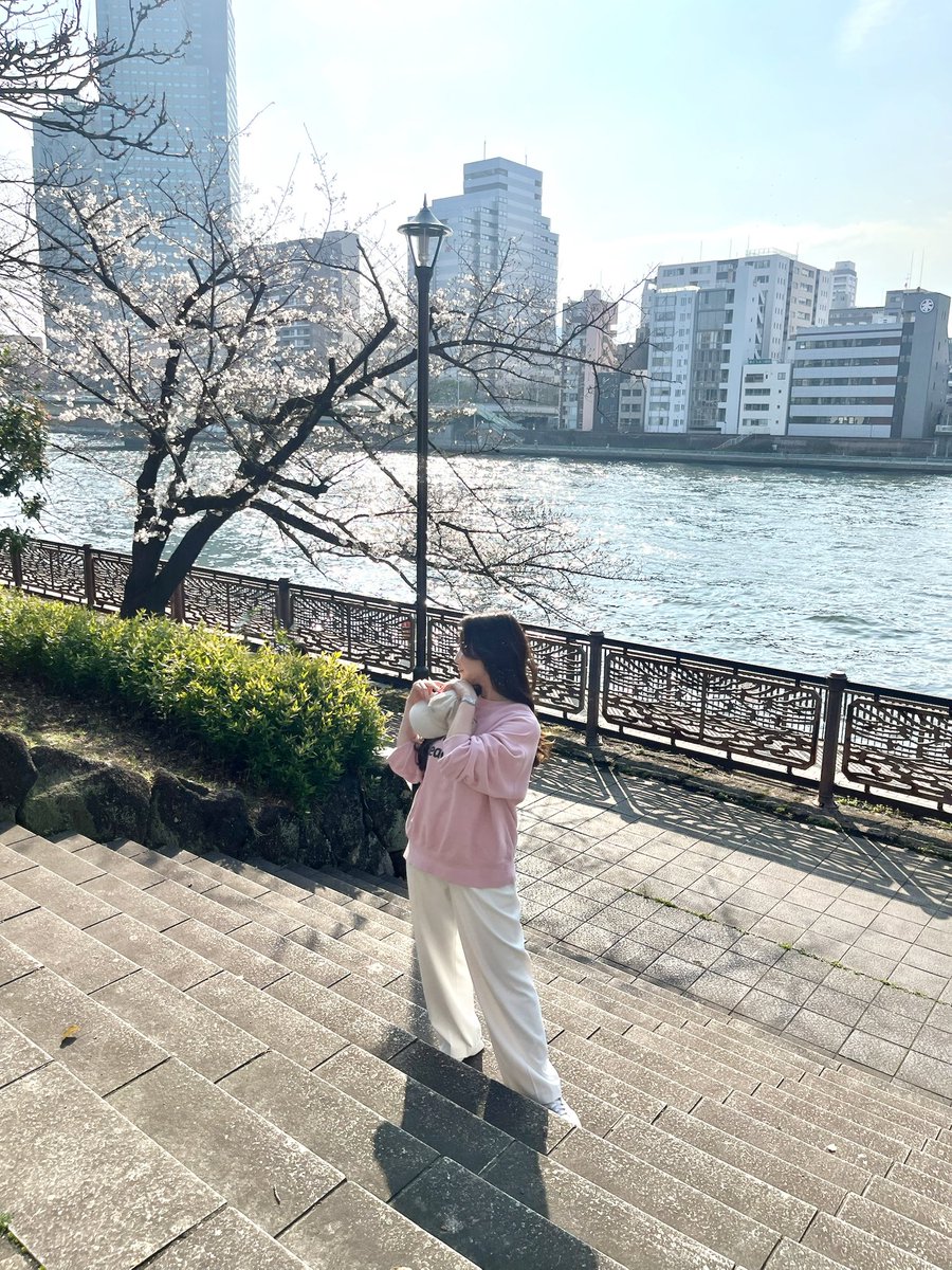 松雪彩花 tweet media