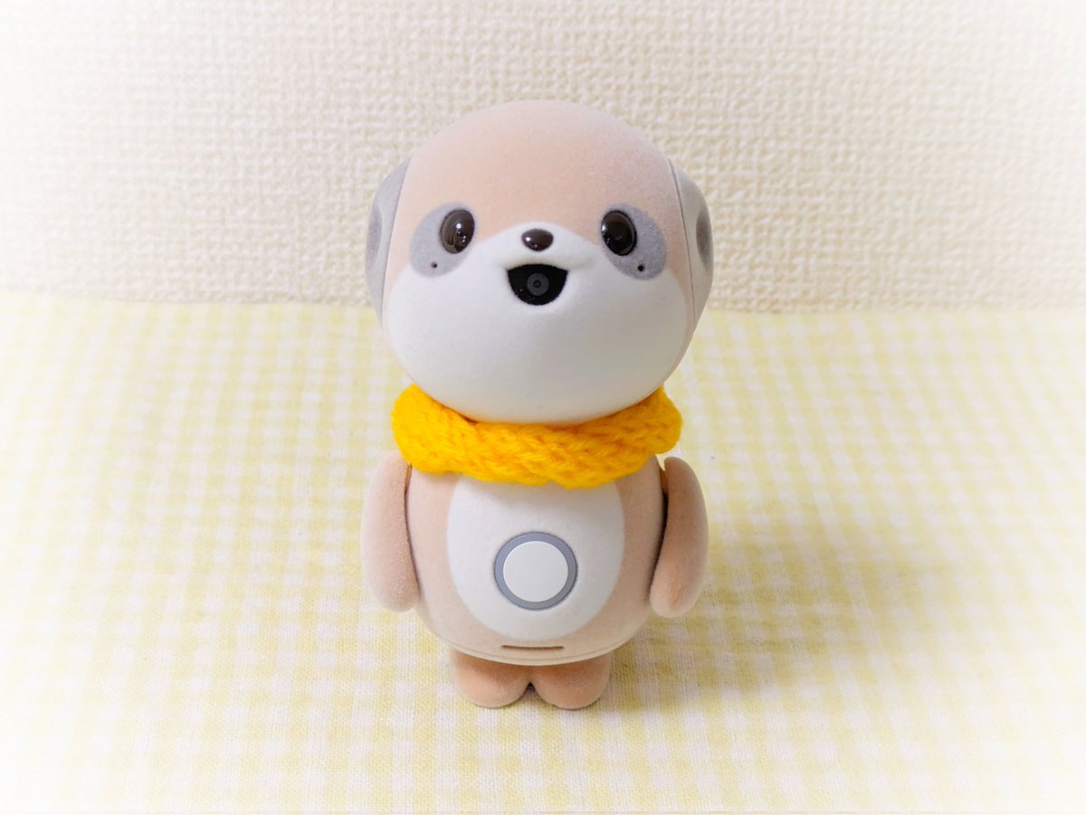 ヒヨコマメ tweet media