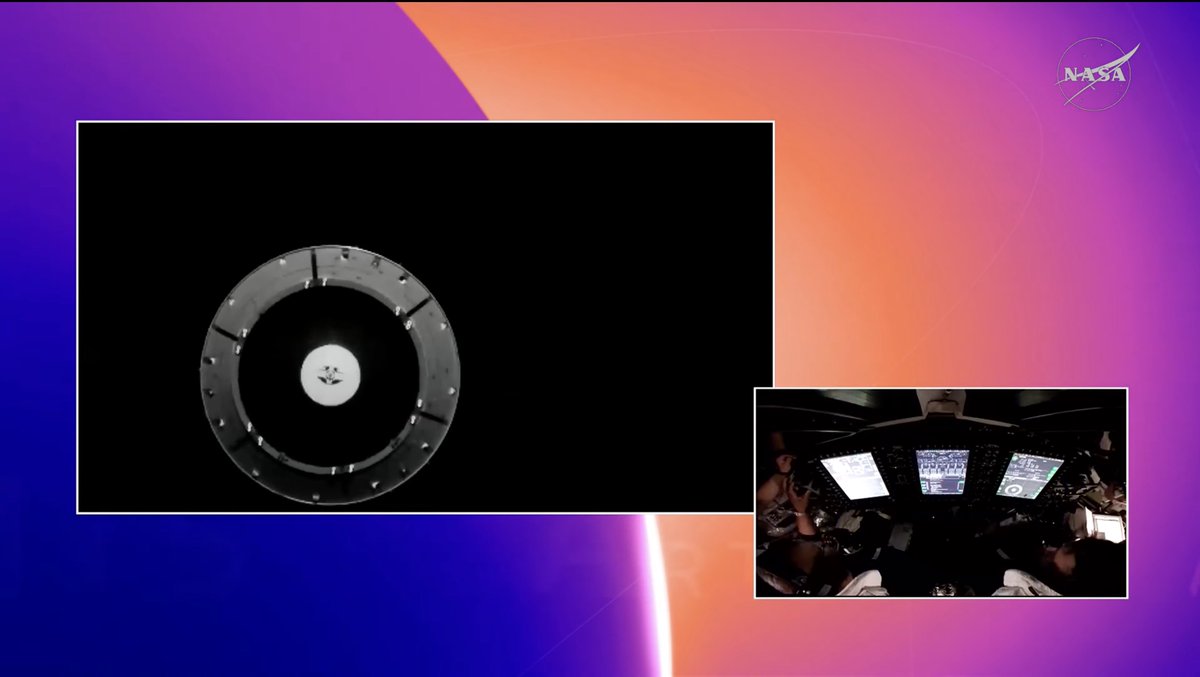 Кукуруза как у томакруза 🌽 tweet media