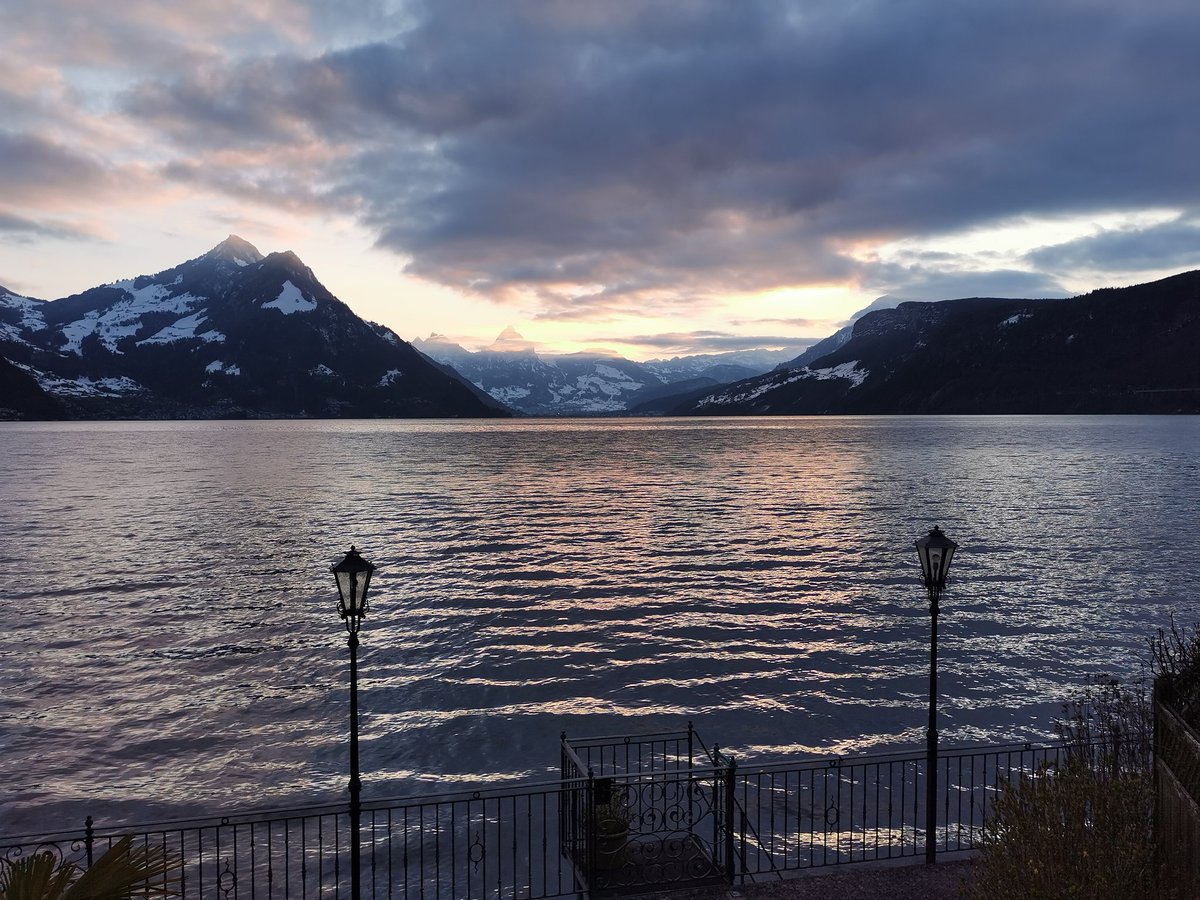 Jeannette Frieden tweet media