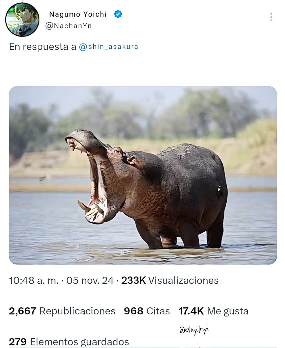 Xloyvkyi tweet media