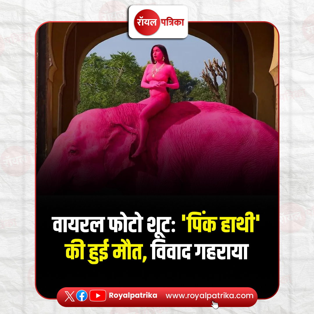 PatrikaRoyal's tweet image. जयपुर में रूसी इंफ्लुएंसर जूलिया बुरुलेवा द्वारा हाथी और मॉडल को गुलाबी रंग से रंगने का वीडियो वायरल होने के बाद विवाद गहरा गया. जबकि करीब डेढ़ महीने पहले उसी 65 साल के हाथी की मौत हो गई है. 
#Rajasthan #Photoshoot #PinkCity #PinkElephant #RoyalPatrika