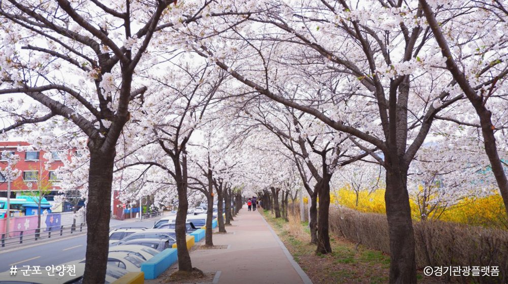 경기도 tweet media