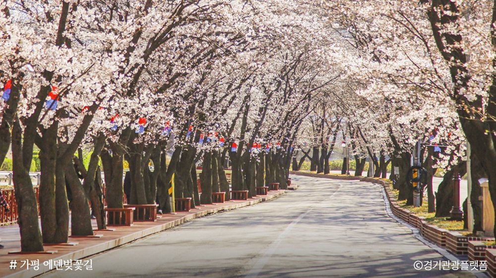 경기도 tweet media