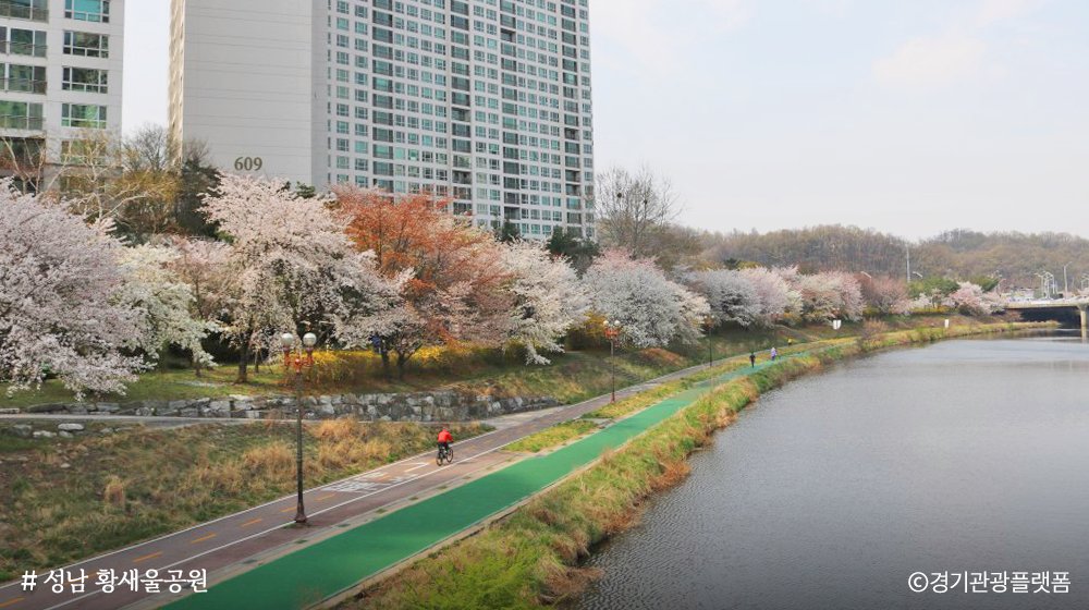 경기도 tweet media