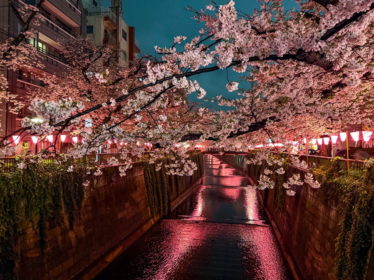 Jakes in Japan 🇯🇵 tweet media