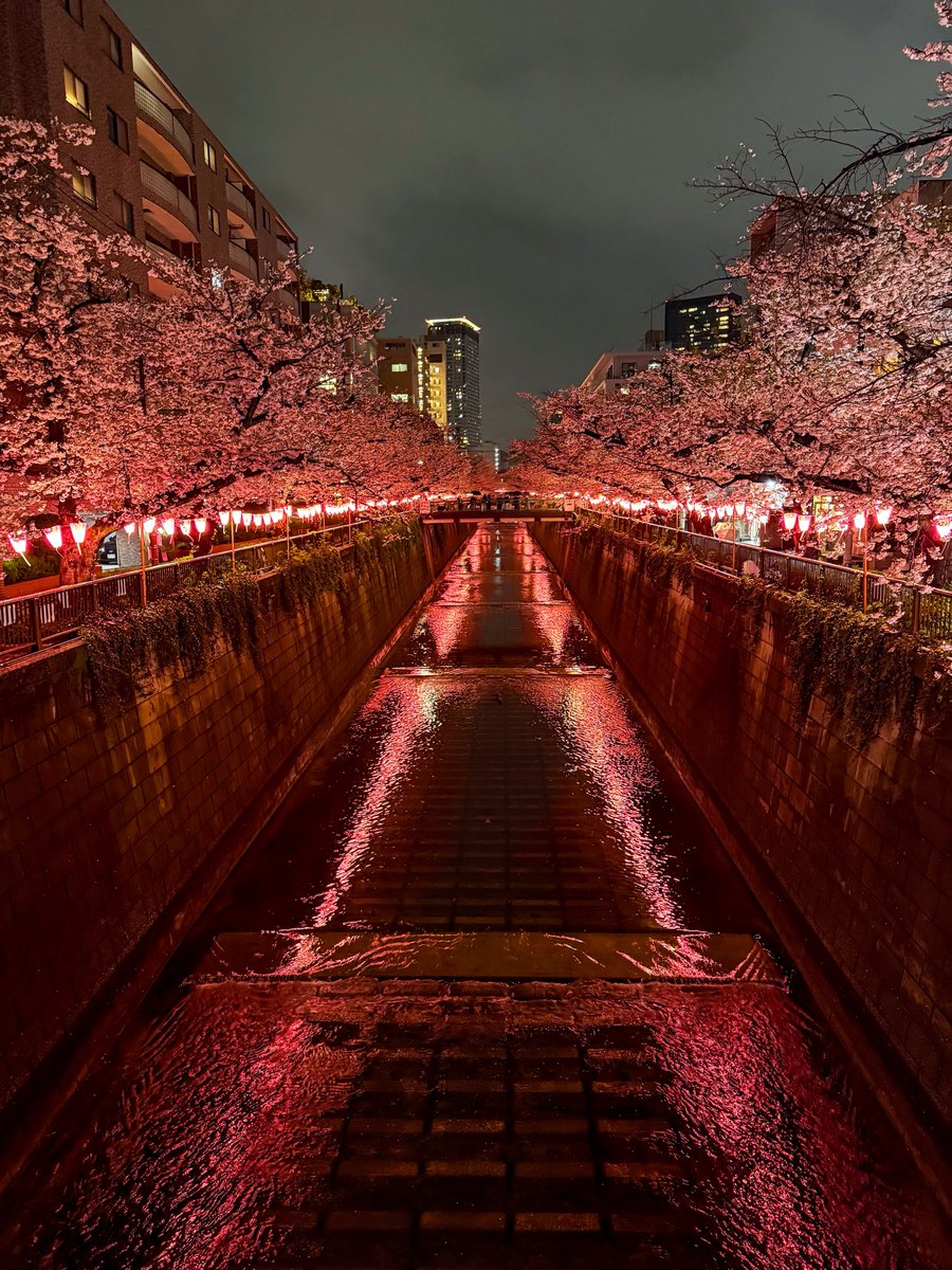 Jakes in Japan 🇯🇵 tweet media