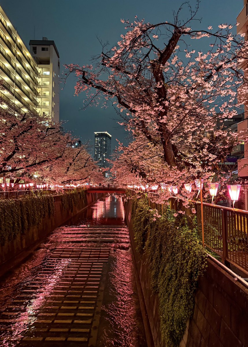 Jakes in Japan 🇯🇵 tweet media