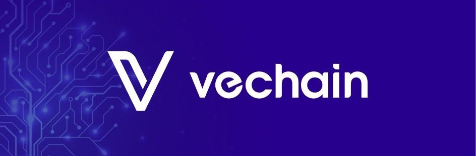 Vechain Explorer tweet media
