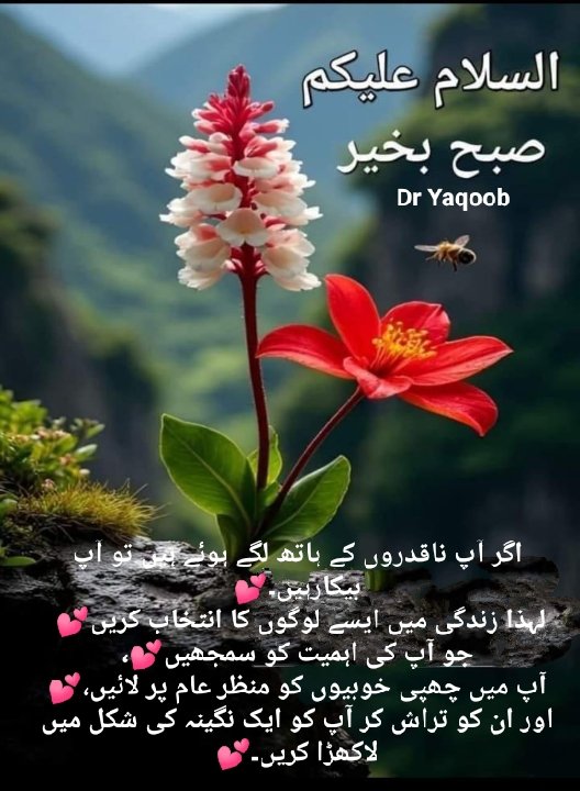 📝TYB🥀 tweet media