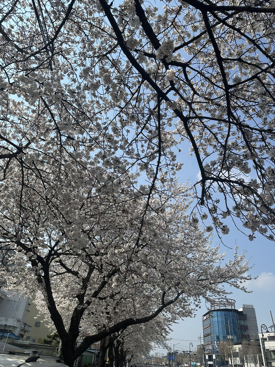 무박신 tweet media