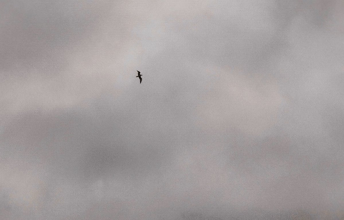 Giorgos viru viru 🎧⏺️🚲 tweet media