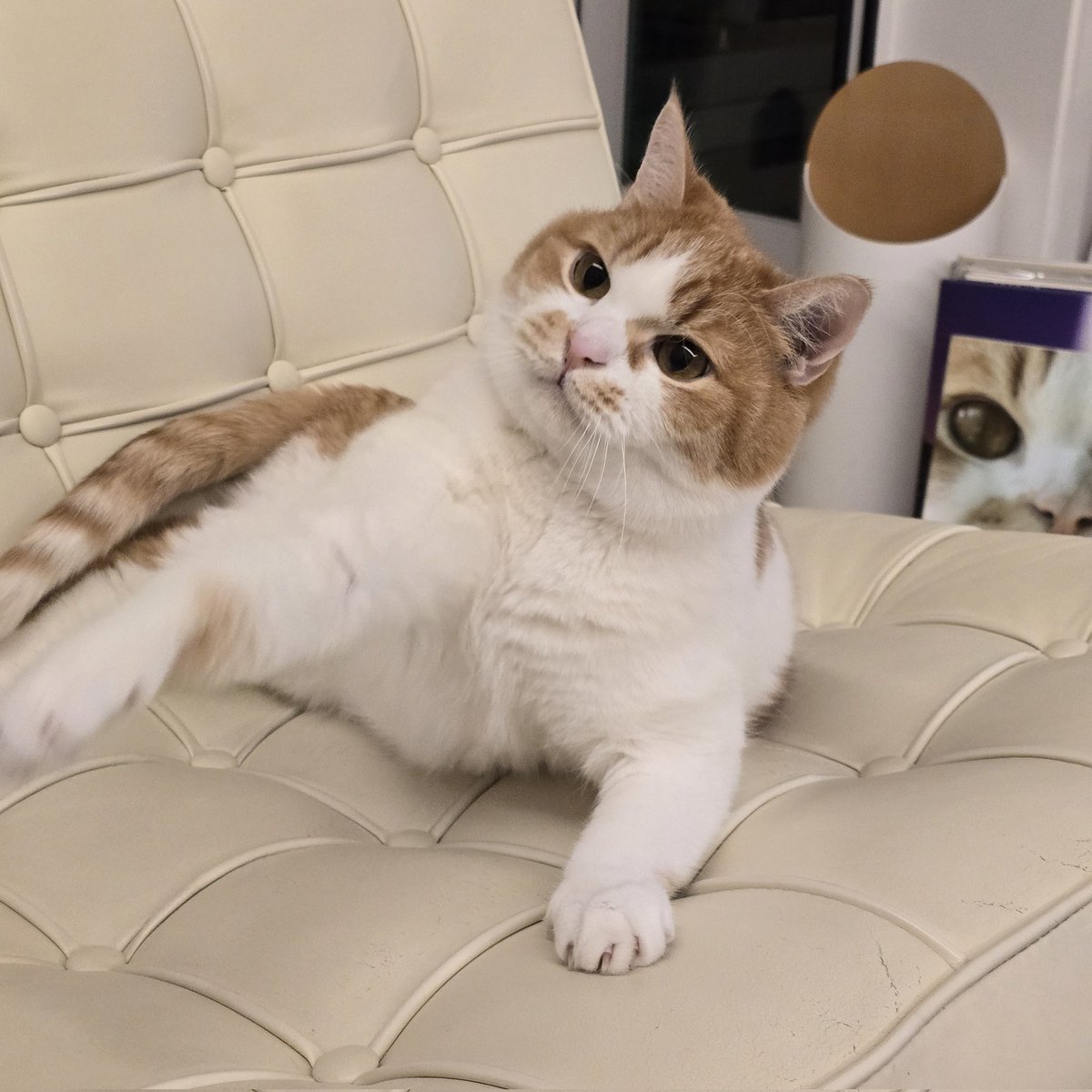 순대만 주세요 tweet media