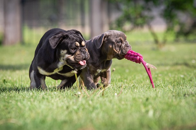 Herb Wirtjes tweet media