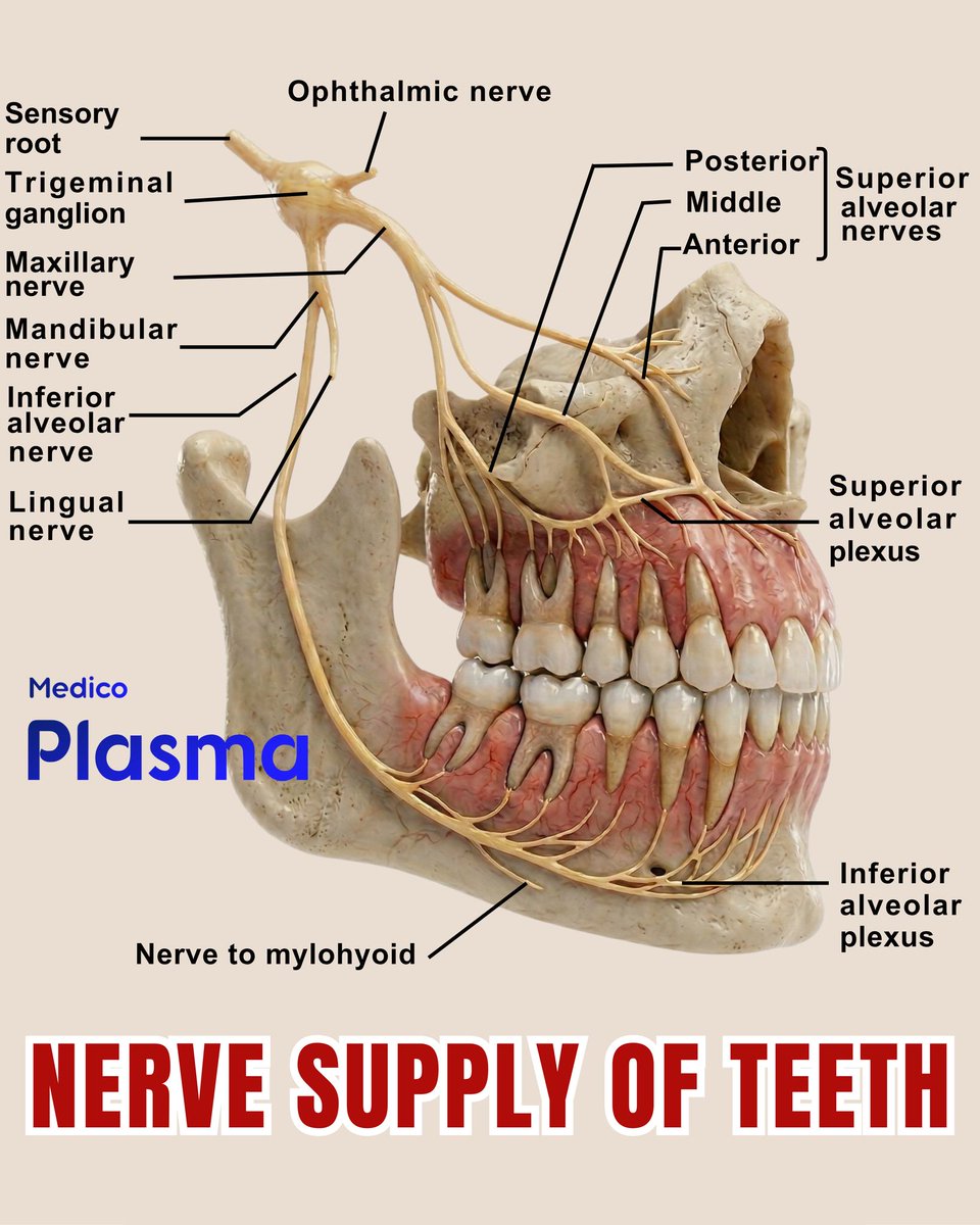 마리지천摩利支天 tweet media
