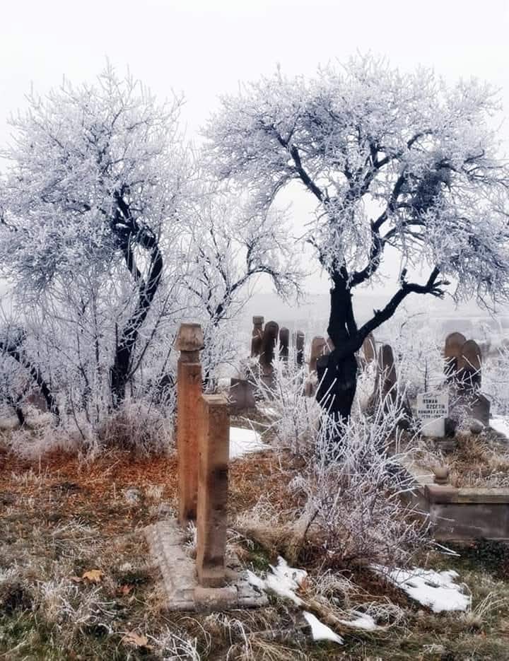 Nidayi Sevim tweet media