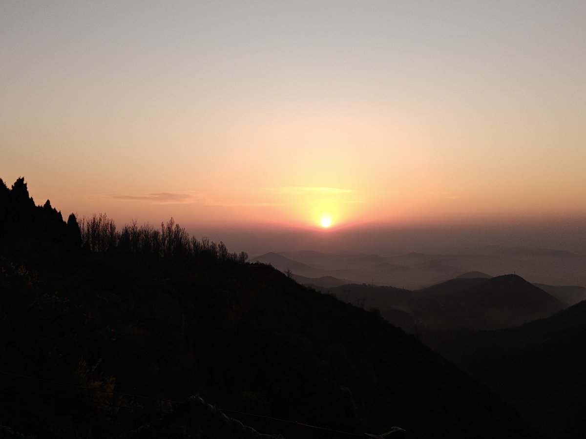 OnyxxOwl tweet media