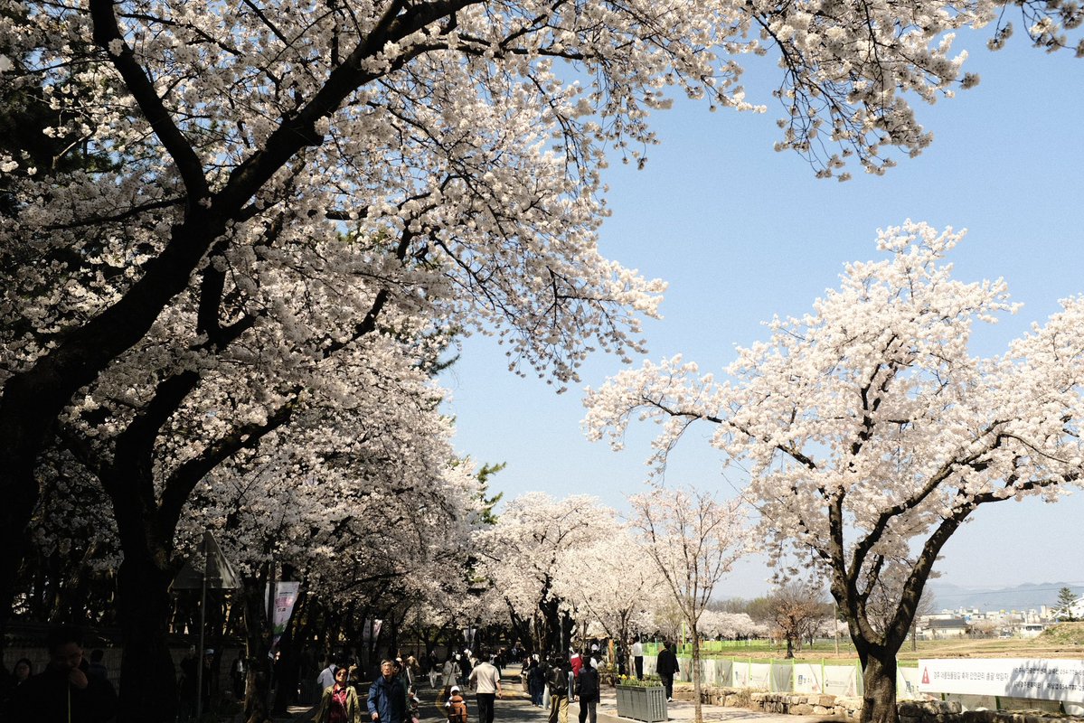 백🎗 tweet media