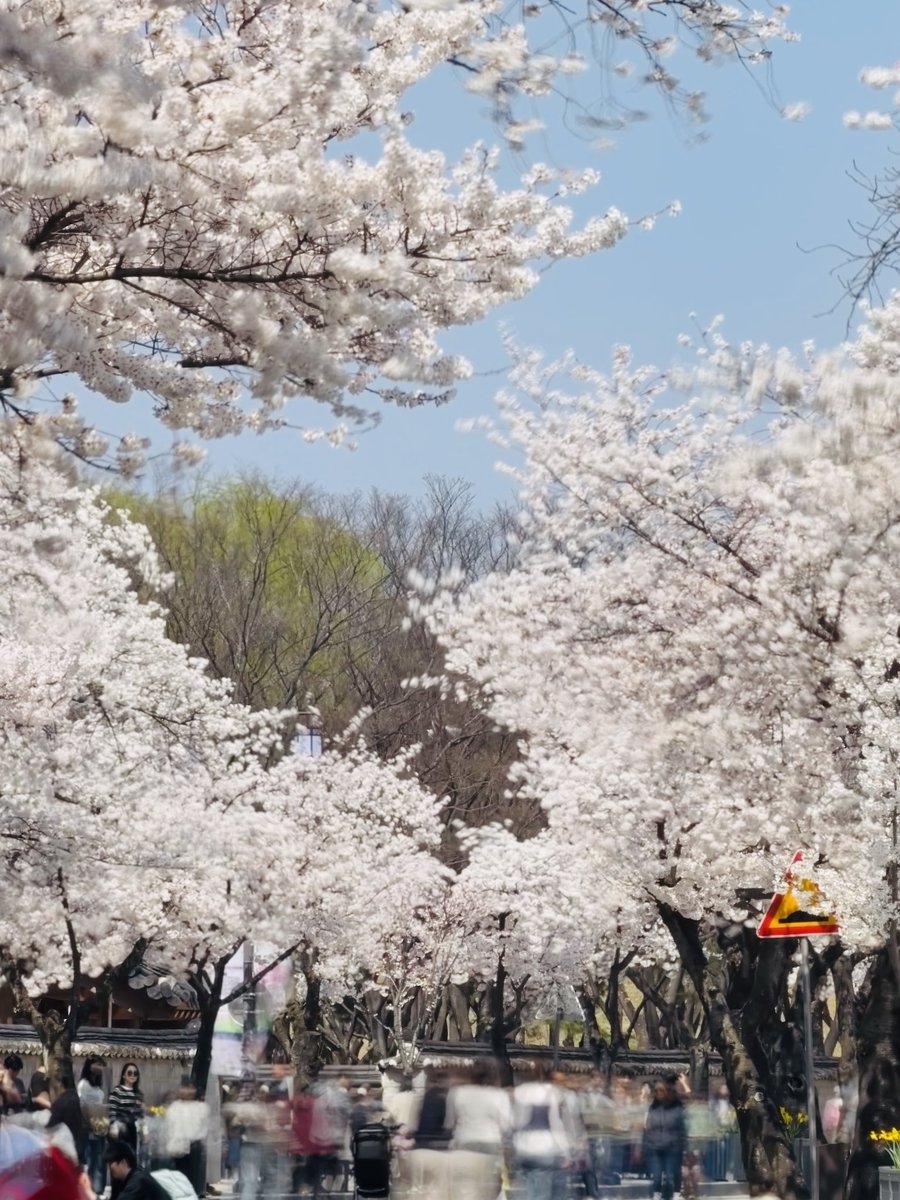 백🎗 tweet media