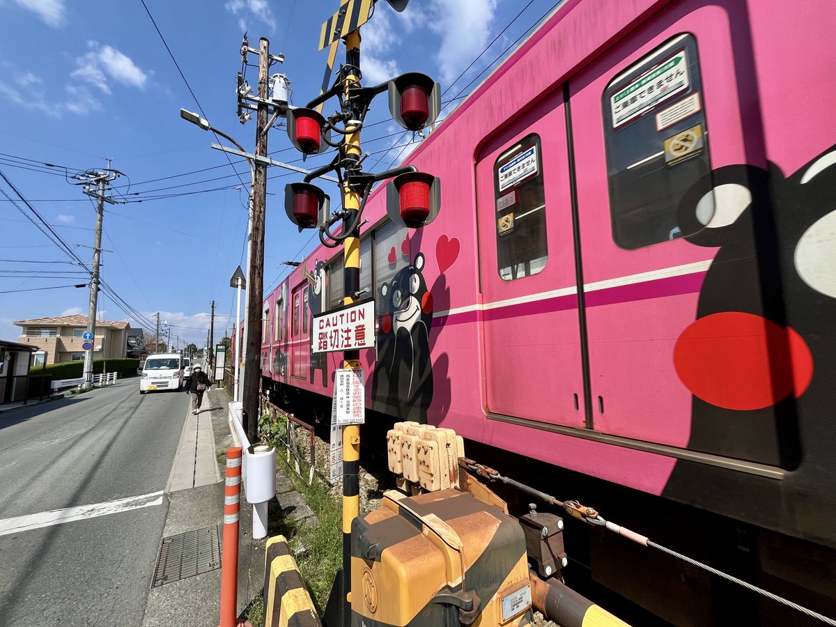 chikako🌲 tweet media