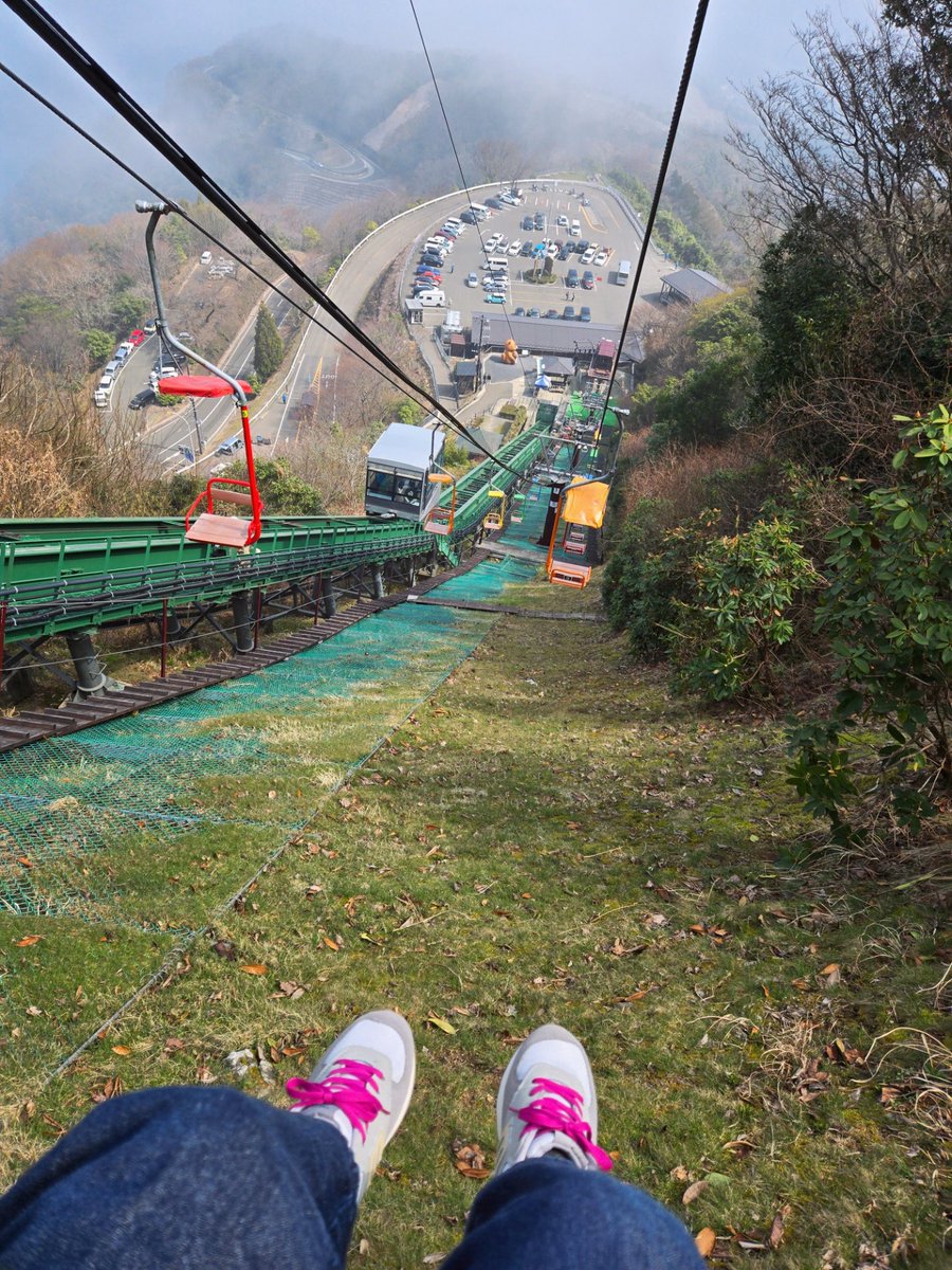 まおすけ tweet media