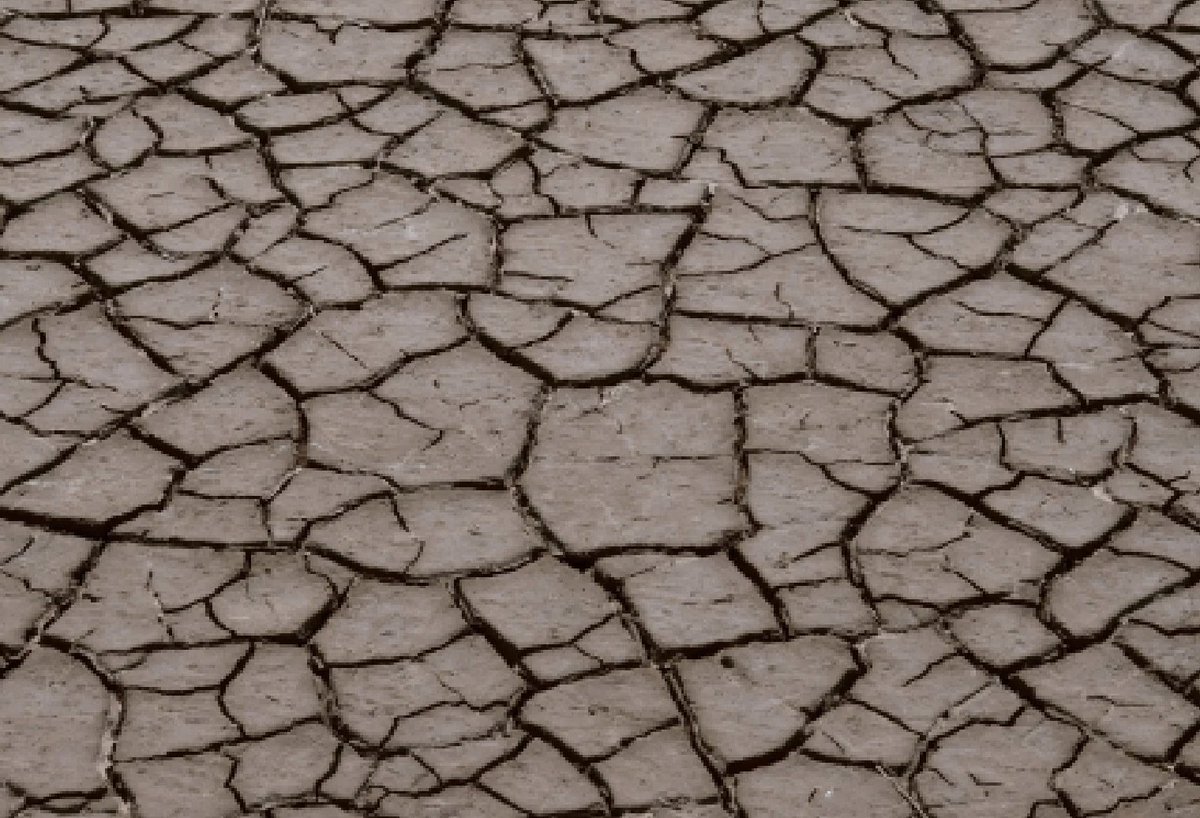 Siamo senz’#acqua e al #caldo

La disponibilità idrica nazionale è calata del 19% rispetto al 2024. Intanto, gli anni dal 2015 al 2025 sono stati gli 11 anni più caldi mai registrati sul Pianeta... <a href="/ISPRA_Press/">ISPRA - Ist. Sup. Protezione e Ricerca Ambientale</a> <a href="/WMO/">World Meteorological Organization</a> 

Ne scrivo su <a href="/UnimondoOrg/">Unimondo - Atlante delle guerre</a>: unimondo.org/news/siamo-sen…