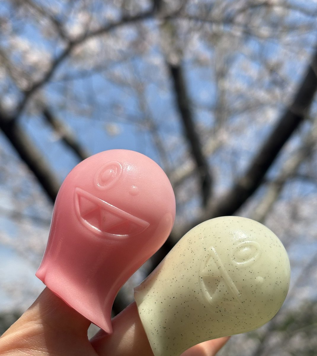 yumi52b's tweet photo. 散る前に写真撮れた￼￼🌸 https://t.co/5tXQA6HJxr