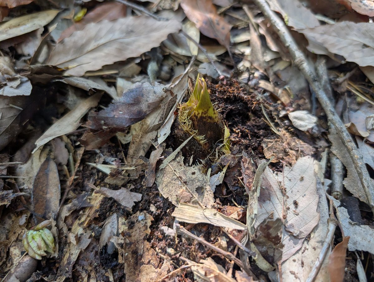 ❦Citrus❦ tweet media